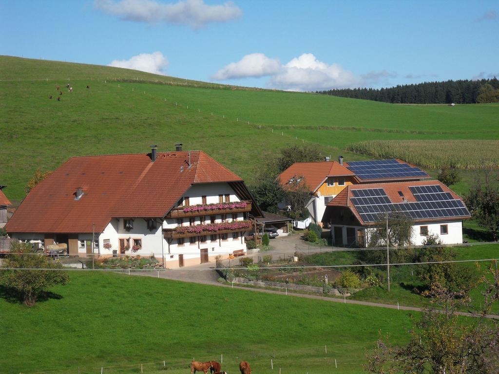 Stockerhof Apartment Elzach Exterior photo